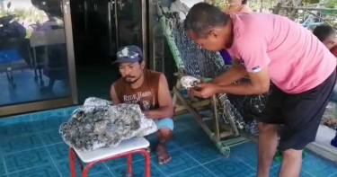 海攤撿「結塊嘔吐物」 火燒飄麝香味…拾荒男一夕成千萬富翁
