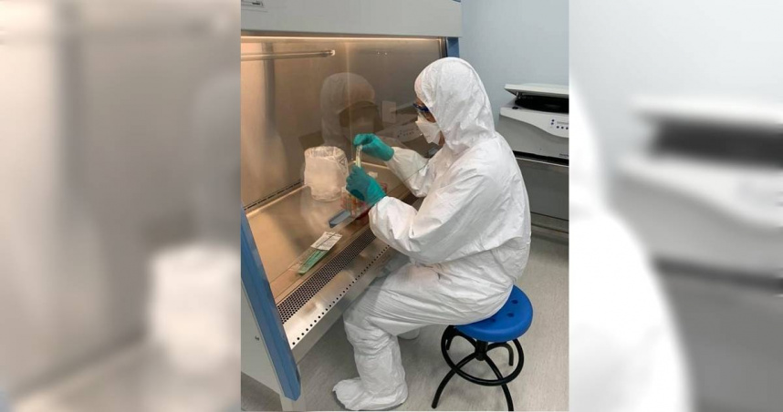 類鼻疽桿菌會存在於土壤及積水中，牧場經營者災後首要任務應加強環境清潔與動物健康監測，如立即清除積水與泥沙，避免動物長時間接觸受污染泥水，並確保提供乾淨飲水。（圖／農業部）