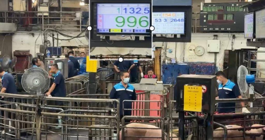 雲林肉品市場今恢復毛豬拍賣，開盤1公斤99.6元 。（圖／雲林肉品市場公司提供）