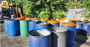 行政院於114年12月4日院會決議，自1日起有條件恢復餐廳等事業廚餘養豬。（示意圖／周志龍攝）