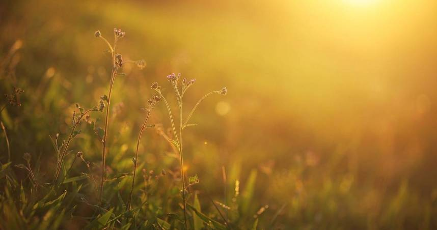 星座專家「清水孟國際塔羅篠安老師」分析，12星座4月19日至4月25日的運勢。（示意圖／Pixabay）