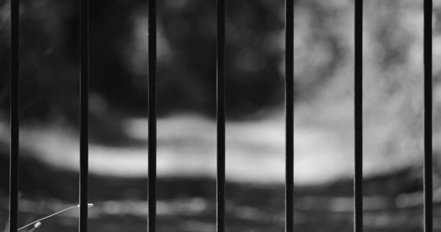 男大生「虐死40隻倉鼠」！傳錄取成大研究所　校方回應了