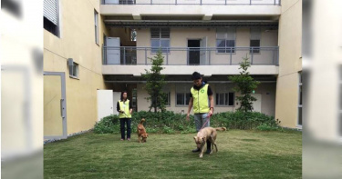 竹市10/1推出「首年免費寵物保險」 鼓勵民眾認養浪犬