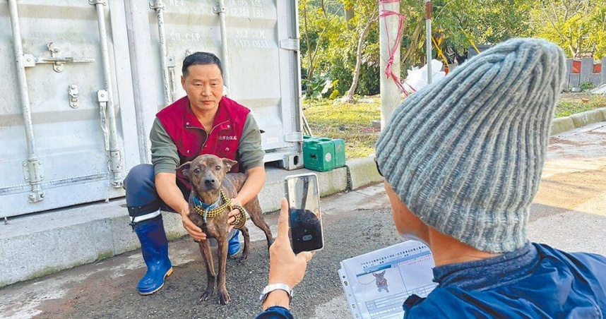 新北市中和區動物之家臉書小編為協助收容所的毛孩找到溫暖的家，突發奇想決定為犬隻拍攝介紹影片。（圖／新北動保處提供／中國時報賀培晏新北傳真）