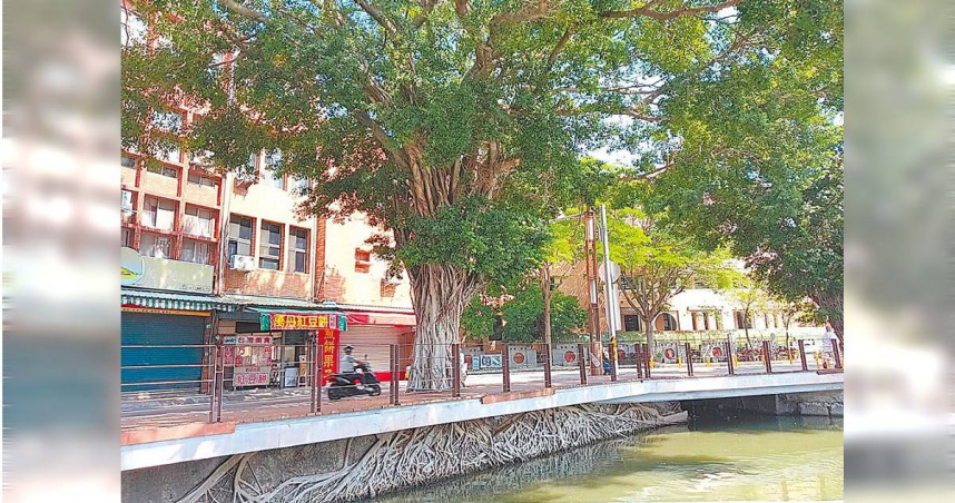 高雄蓮池潭風景區春秋閣北側1株榕樹，其樹根盤根錯節壯觀景象，彷彿宮崎駿動畫《天空之城》奇幻場景。（圖／高市觀光局提供／中國時報柯宗緯高雄傳真）