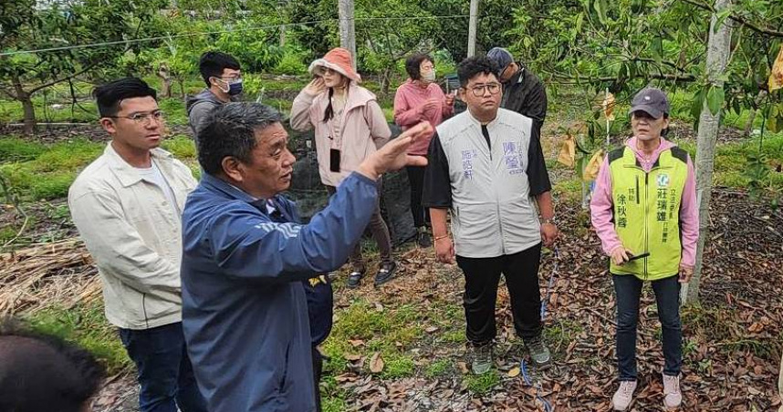 農業在今（16）日公告「臺東酪梨低溫農業天然災害現金救助」，請受損農民盡快向公所提出。（圖／陳瑩辦公室提供）