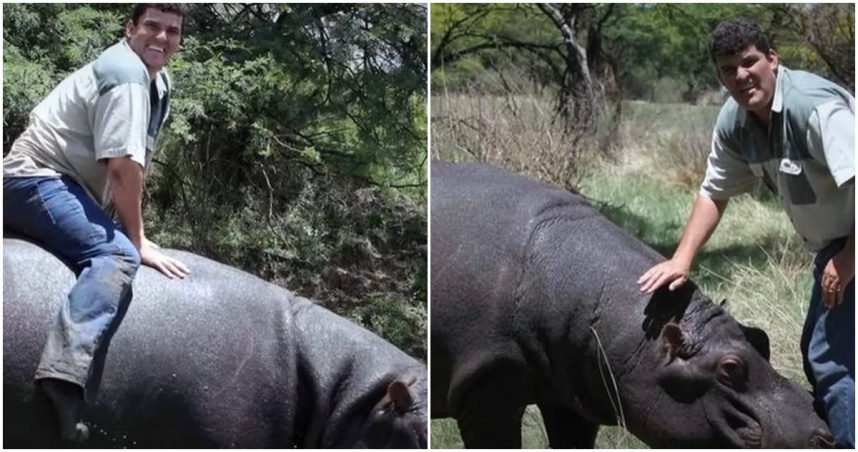 南非一名少校被寵物河馬咬死。（圖／翻攝YouTube，下同）