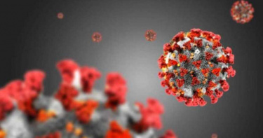 新冠肺炎患者痊癒後恐二次感染 WHO:不確定會有免疫力