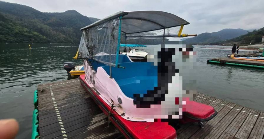 鯉魚潭天鵝船翻覆！疑「惡意造浪」害死9歲童　網控：5年前就曾投訴