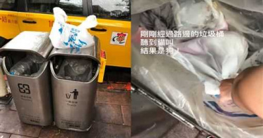 男子聽見路邊垃圾桶傳出哀號聲 翻找驚見「活狗裝在打死結袋中」遭丟棄