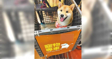 飼主留寵物在悶熱車內 北市開出首張2000元罰單