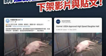 批國民黨豬顫抖影片造假 民進黨要求江啟臣道歉