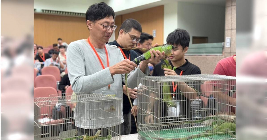 為移除綠鬣蜥，高雄市農業局今年再加開獵人班訓練。圖為綠鬣蜥獵人訓練課程，學員學習綠鬣蜥的保定技巧。（高雄市農業局提供／林瑞益高雄傳真）