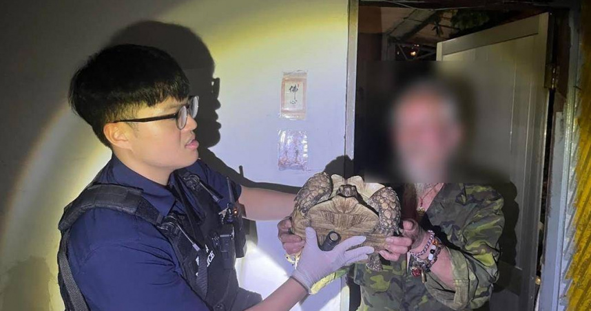桃園女帶寵物龜到公園散步　卻遭路過老翁「打包」帶走