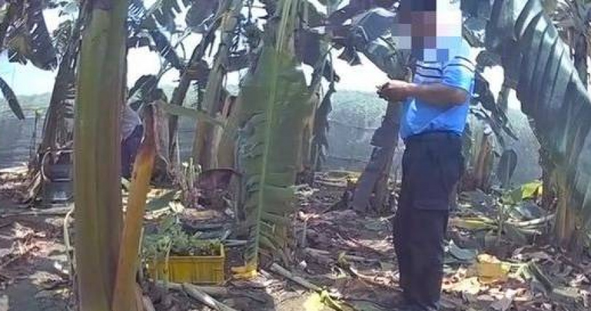 高雄苦瓜農變蜂賊，偷69箱蜂蜜轉賣遭收押。（ 圖／翻攝畫面）