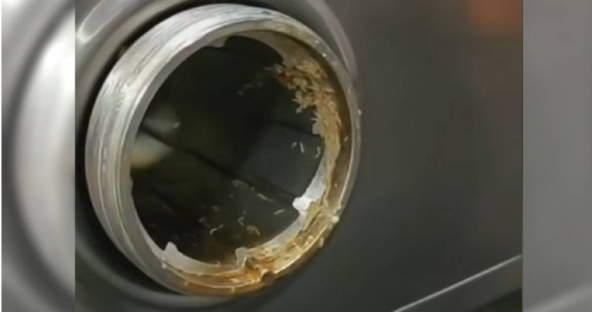 中國浙江寧波一名家長，發現孩子學校餐廳所使用的絞肉機上面，竟布滿了活蛆爬行。（圖／抖音）