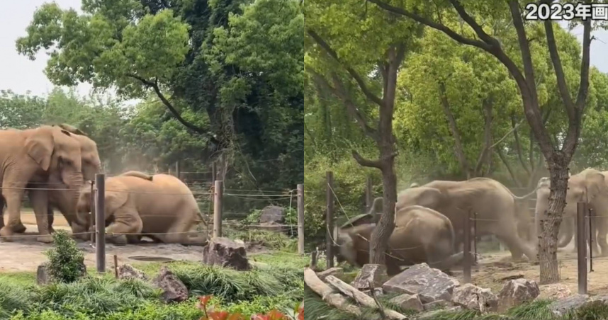 （圖／翻攝自微博）
