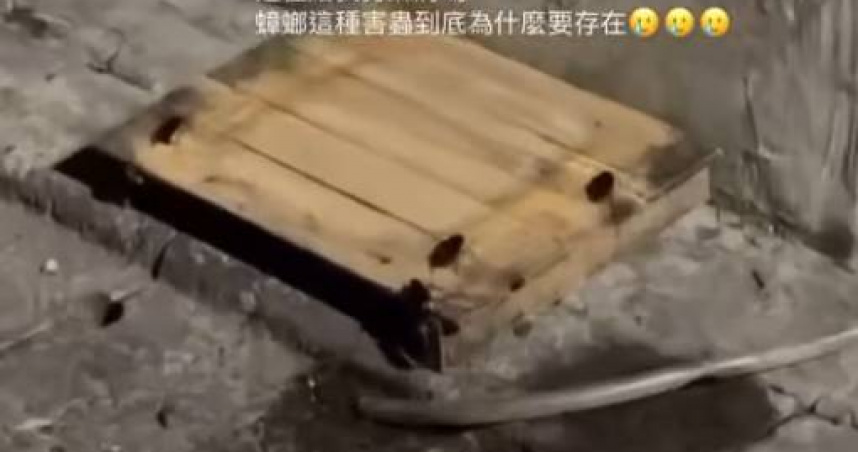 台北知名老店將食物器具放水溝上。（圖／Threads@rox_shih授權提供）