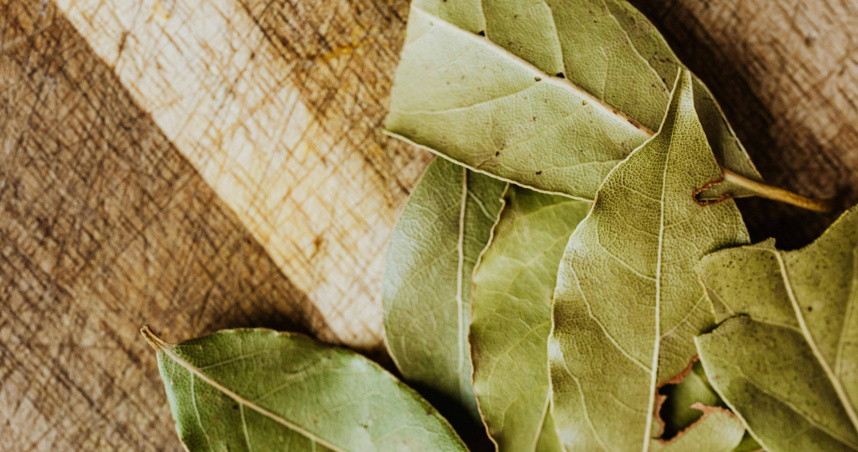 越南月桂葉今年出口激增，年增率超過36%。（示意圖／Pexels）