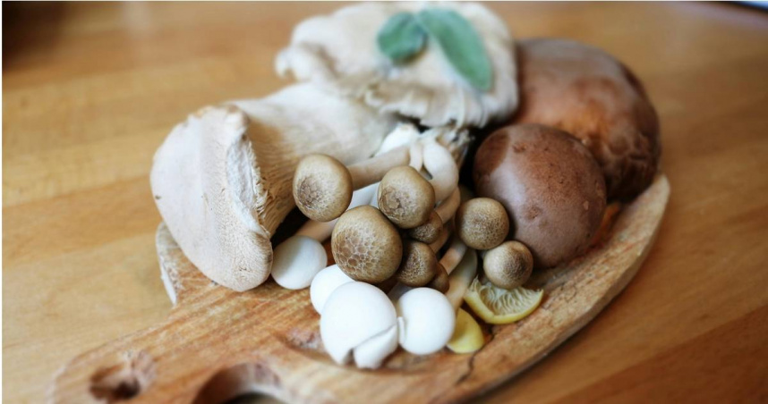 菇類蔬菜與芽苗蔬菜，兼顧美味、營養又省錢。（示意圖／翻攝自pexels）