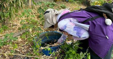 桃園市出現首例本土登革熱確診個案，該個案為50歲男子，9月24日晚間確認為今年首例本土登革熱。衛生局呼籲，民眾應落實「巡、倒、清、刷」，以杜絕病媒蚊孳生。（圖／桃園市衛生局）