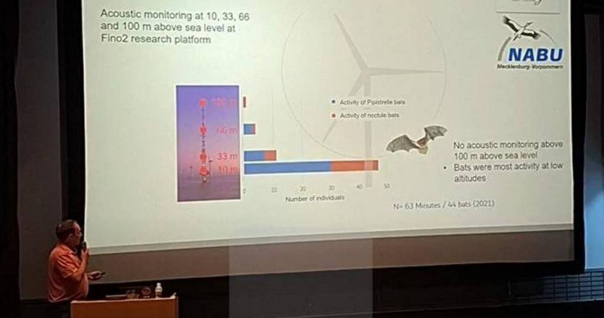 雲林縣水林鄉黃金蝙蝠生態館因應光害與風能威脅蝙蝠生態，邀德國學者Dr. Christian C. Voigt來台進行2場座談會，為台灣蝙蝠把脈請命。（圖／翻攝畫面）
