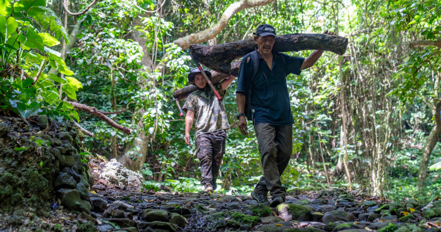 夏曼・藍波安與兒子踏入山林，以造舟技藝延續三代傳承。（圖／目宿媒體提供）