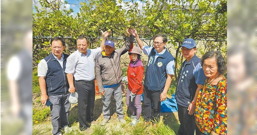 立委徐富癸（右三）5日邀集農政相關單位到屏東竹田鄉勘查檸檬受損災情。（圖／中國時報羅琦文攝）