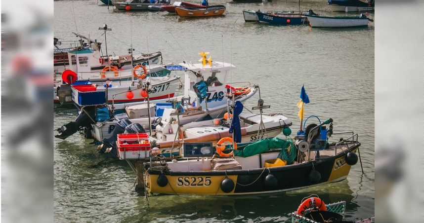 中國廣東省深圳市大鵬海關，近日在2艘入境漁船上，捕獲超過2萬隻蟑螂。（示意圖／unsplash）