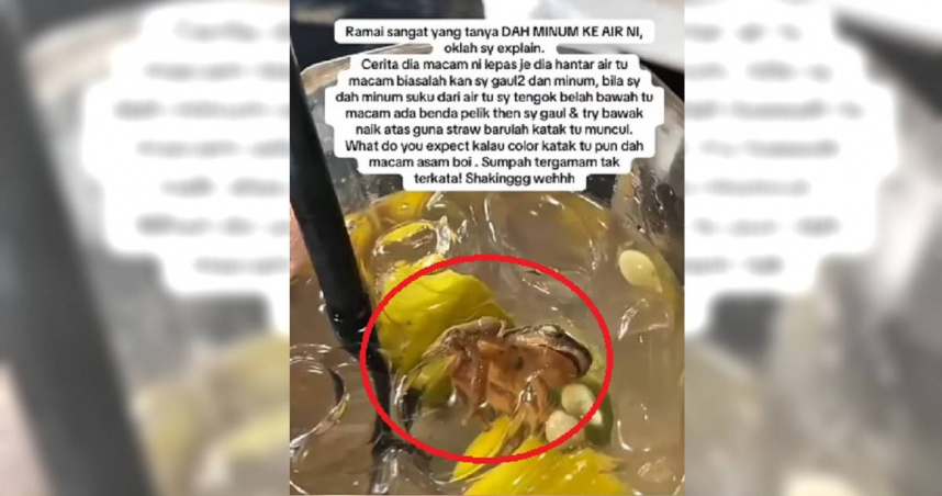 馬來西亞芙蓉一名女網友在飲用青檸梅冰時，驚見杯中有一隻溺斃青蛙，引發網友譁然。（圖／翻攝自IG）