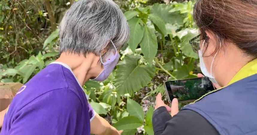 台東縣衛生局人員會同已出院的林人女子前往採集野菜樣本。（圖／台東縣衛生局提供）