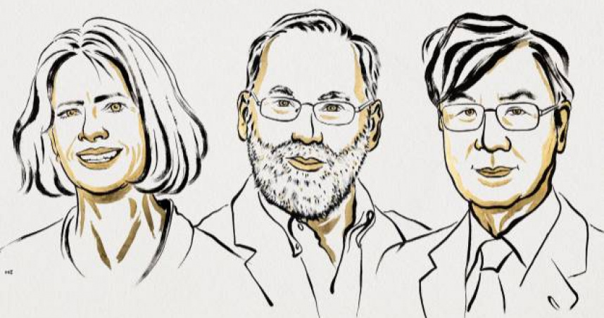 2025年諾貝爾生理學或醫學獎於瑞典斯德哥爾摩揭曉。（圖／翻攝自Nobel Prize）