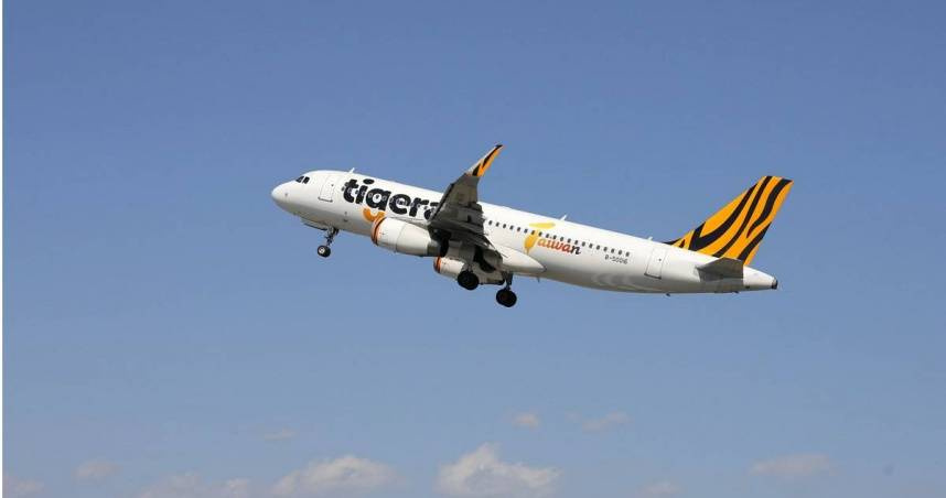 台灣虎航9日收在76.5元，漲0.90元。（圖／台灣虎航提供）