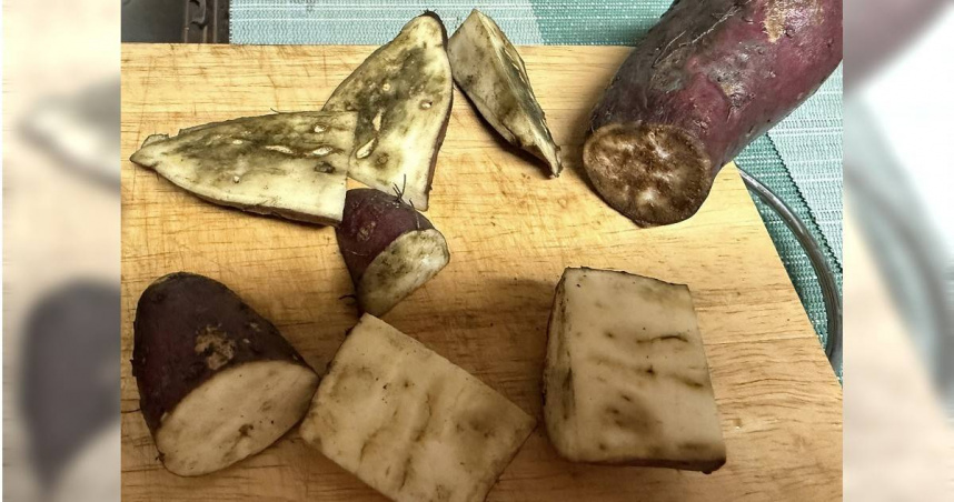 前民進黨立委高嘉瑜昨（4）日在臉書發文抱怨，於「大全聯」購買的栗子地瓜切開後竟全部腐爛。（圖／翻攝自高嘉瑜臉書）