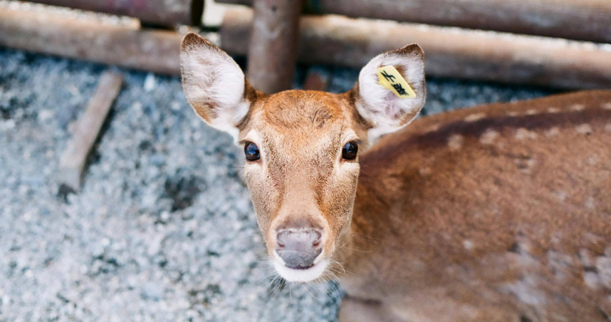 （示意圖／Pexels）