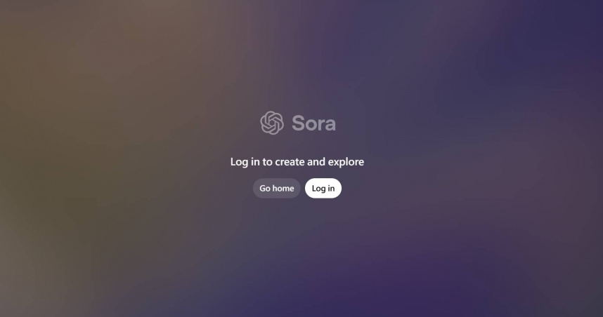 （圖／翻攝自Sora）