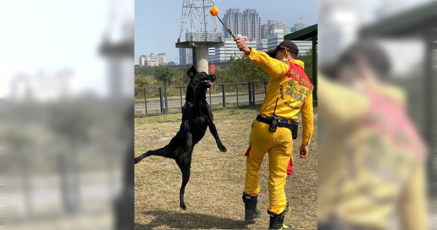 每年4月最後1個星期日為「國際搜救犬日」，新竹市消防局27日向辛勤投入訓練與任務執行的搜救犬致敬。（圖／新竹市消防局提供／中國時報記者陳育賢新竹傳真）