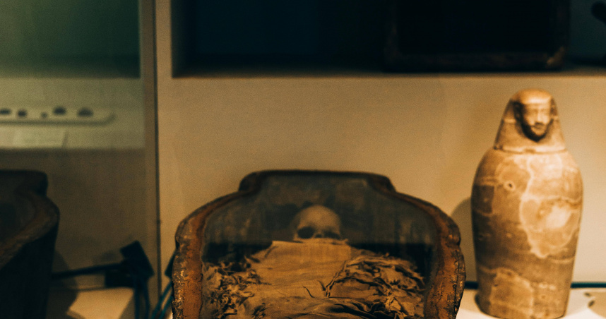 兩具於西伯利亞北部永久凍土中發現、保存驚人完好的「冰河時期小狗」遺骸被重新定位為狼崽。（示意圖／翻攝Pexels）