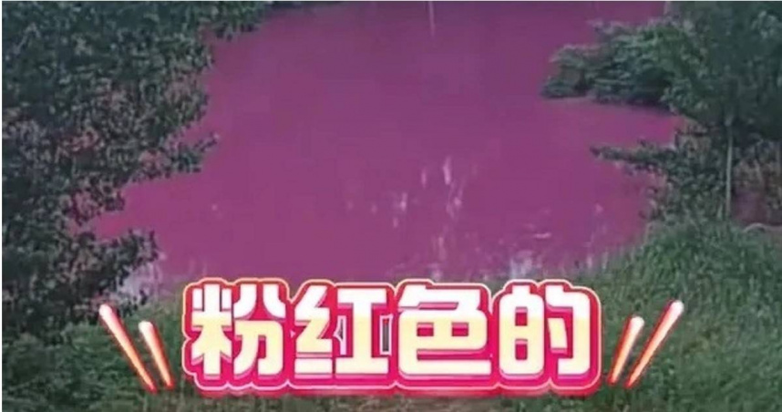 河南洛陽馬屯村出現粉紅色水塘，當地村民擔憂水源遭污染。（圖／翻攝自微博）