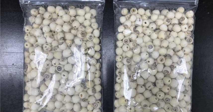 在台東縣某流動攤商抽驗到一批蓮子，檢出總黃麴毒素超標，來源業者是高雄市的甄德生藥科技有限公司。（圖／食藥署提供）