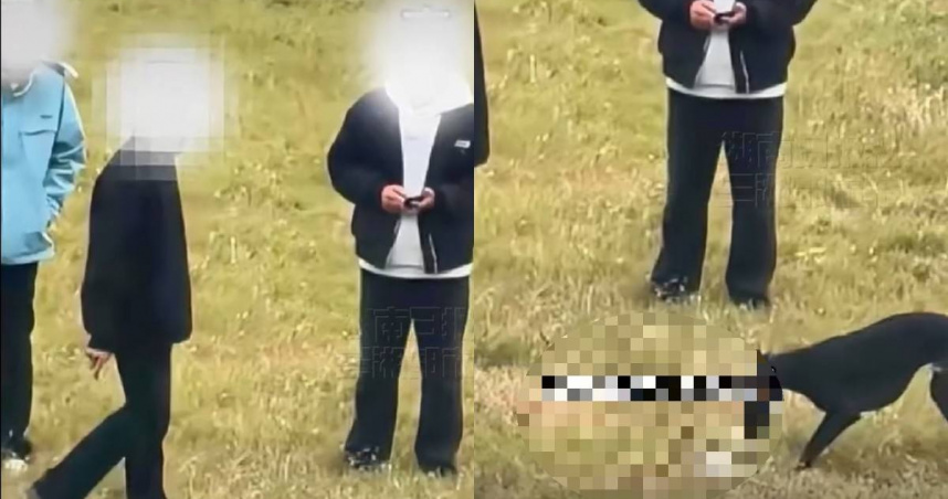 大陸安徽3名男子放縱獵犬虐殺小貓，引發網友氣憤。（圖／翻攝自三湘都市報）
