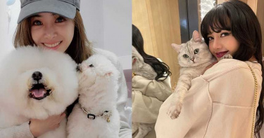 狗奴貓奴必看!Lisa、Jolin這些女神跟毛小孩們的超甜賣萌照 實在太圈粉啦~