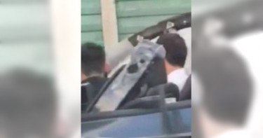【試車墜橋1】富少車禍自墜身亡 專家揭跳橋原因