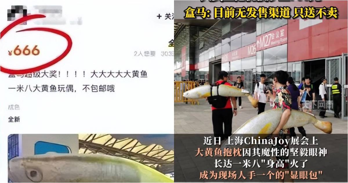 180公分「大黃魚抱枕」只送不賣掀熱潮! 網路炒價一隻賣2800元 | 國際 | CTWANT