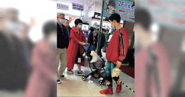 崔佩儀逛大街 狗女兒超有戲