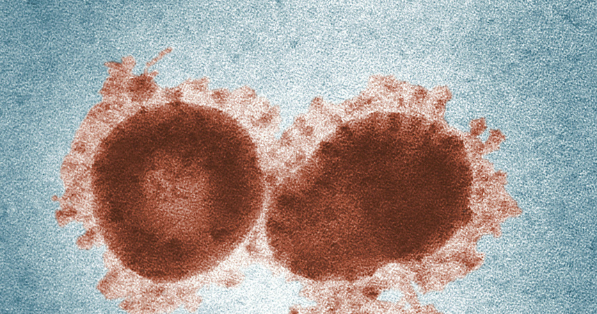 日本政府近日宣布，將在全國範圍內展開調查，以釐清「伊科11型腸病毒」（Echovirus 11）是否導致新生兒急性肝衰竭的嚴重病例增加。（示意圖／翻攝Pexels）