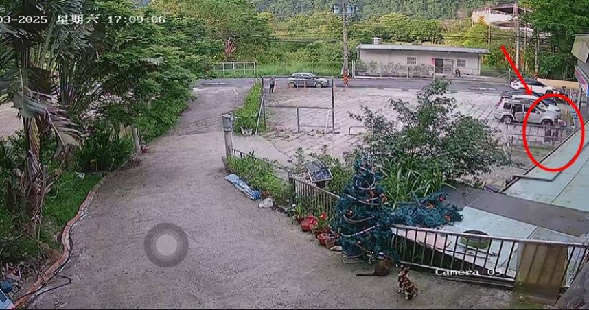 流浪動物珍愛協會3日接獲通報，新竹五峰露營區有民眾帶來的比特犬在未牽繩的情況下，對浪犬攻擊。（圖／民眾提供）