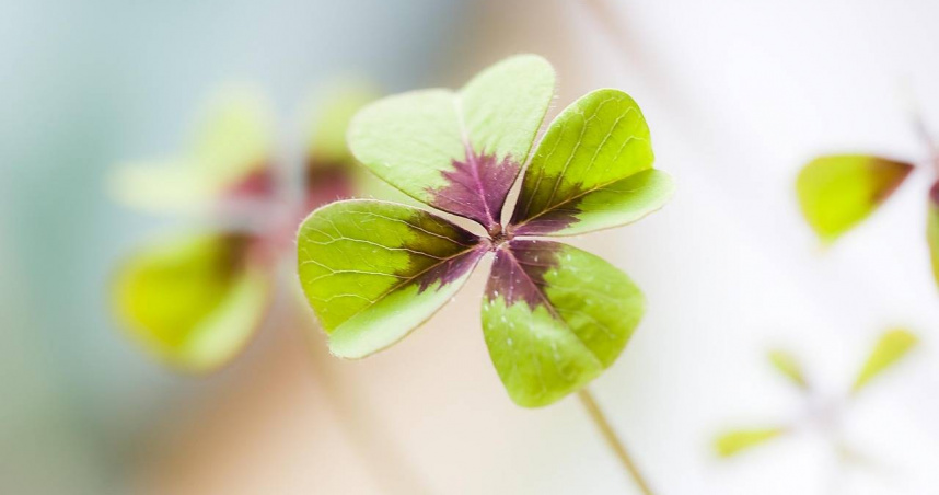 篠安老師分析12個星座在6月22日至6月28日的運勢。（示意圖／Pixabay）