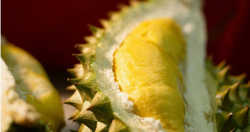 榴槤。（示意圖／Pexels）