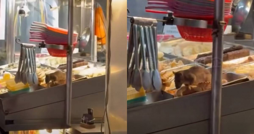 有大老鼠在嘉義鹹酥雞攤飽餐一頓。（圖／翻攝自臉書／黑色豪門企業）